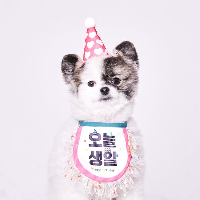 Pañoleta Bandana de Algodón para mascotas - NOMA Pets MX