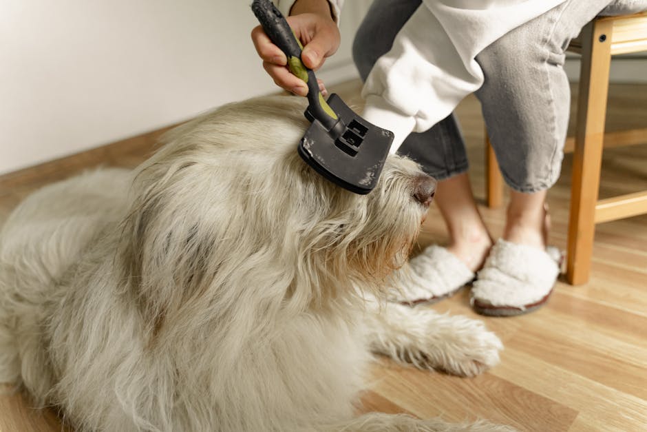 Cepillo de Aseo Profesional para mascotas - NOMA Pets MX