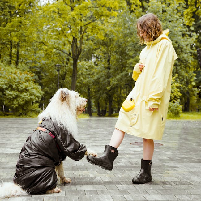 Impermeable Reflectivo para Perro