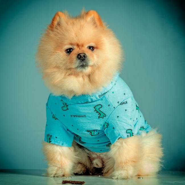 Playera Veraniega Transpirable para mascotas - NOMA Pets MX