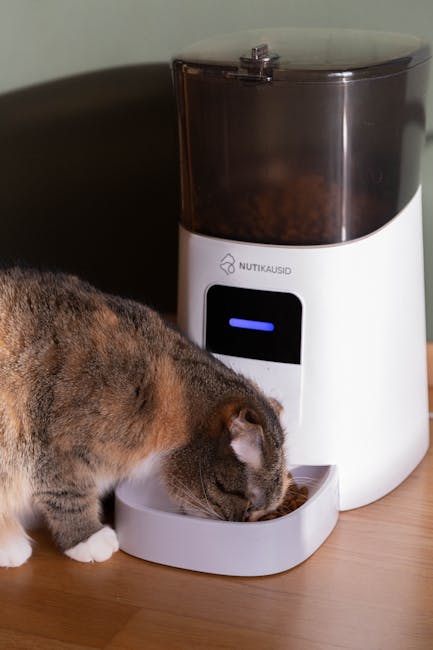 Comedero Automático con Temporizador