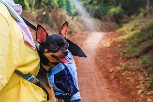 Bolsa Transportadora de Viaje para mascotas - NOMA Pets MX