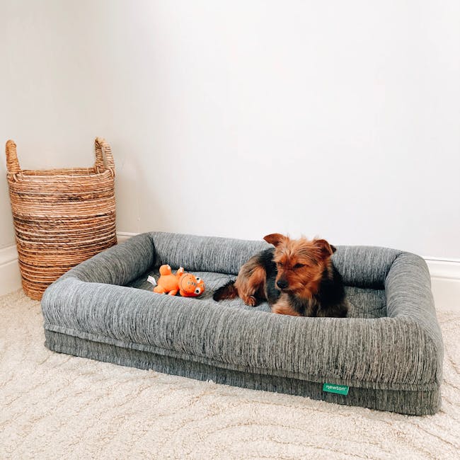 Cama Sofá Ortopédica Premium para mascotas - NOMA Pets MX