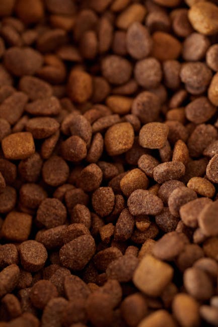 Comida Naturista Premium para Perros