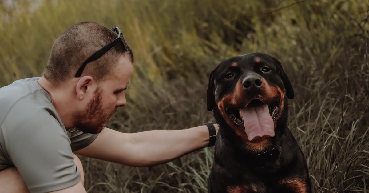 NOMA - Productos premium para mascotas