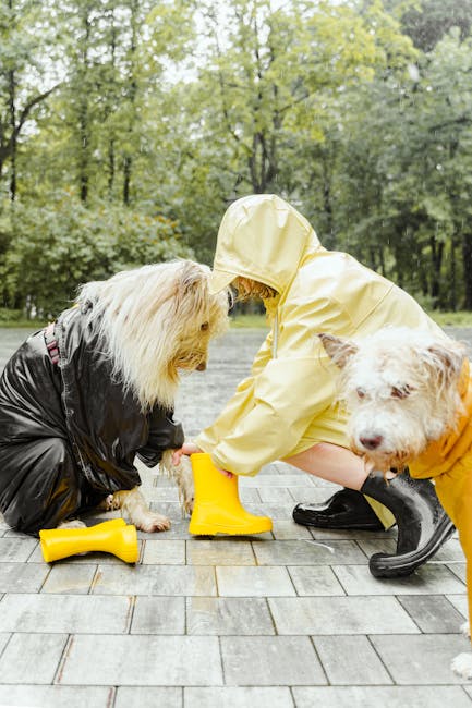 Botas Protectoras para Patas para mascotas - NOMA Pets MX