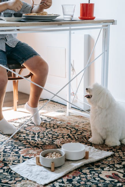 Tazones Comedero Doble Elevado para mascotas - NOMA Pets MX